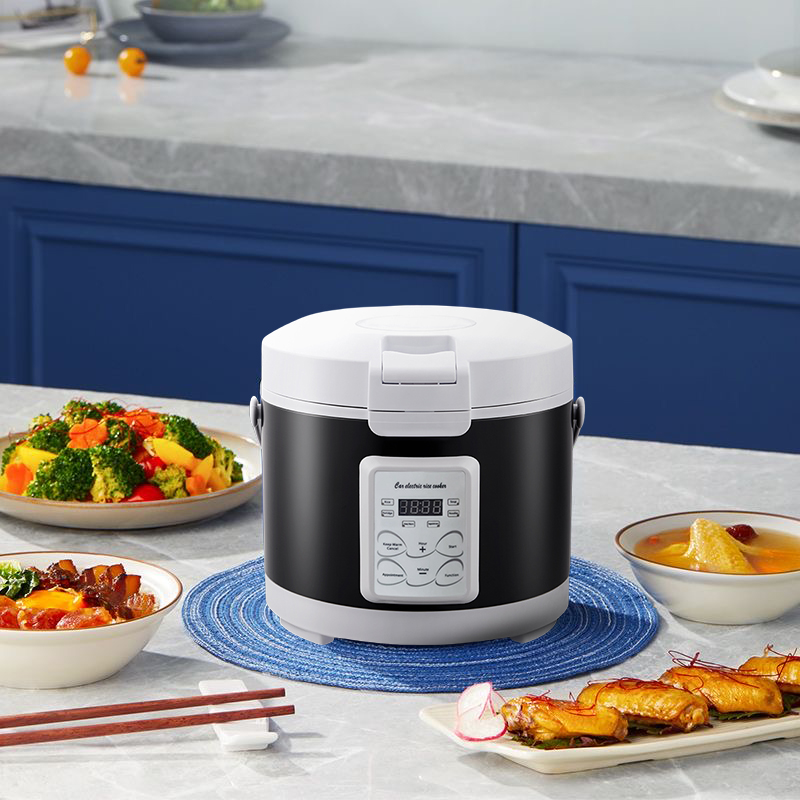 220V Mini Fornello di Riso zup - Home Cooking Menu recensione e prezzo